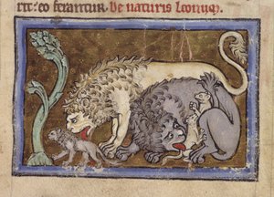 Royal MS 12 C XIX, f.6r Lions, z 