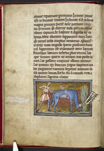 Royal MS 12 C XIX, f.7v Antelope, z 
