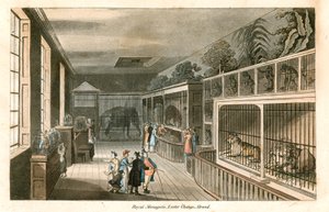 Königliche Menagerie, Exeter Change, Strand