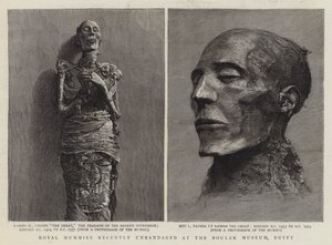 Royal Mummies niedawno Unbandaged w Muzeum Boulak w Egipcie (grafika) autorstwa English School