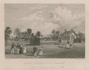 Królewski toksofolit naziemny autorstwa English School