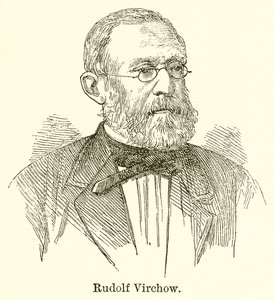 Rudolf Virchow autorstwa English School