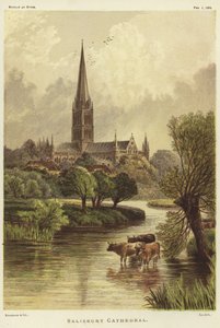 Katedra w Salisbury w Salisbury autorstwa English School