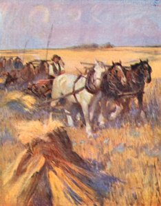 Saskatchewan, nowoczesny Szkot na swoim segregatorze (kolorowa litografia) autorstwa English School