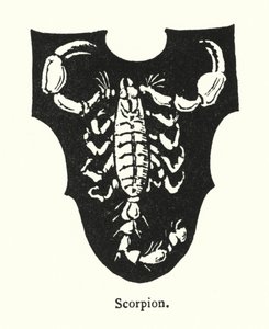 Skorpion (grawerowanie) autorstwa English School
