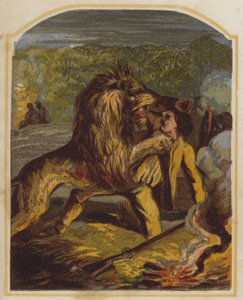 Szkocki misjonarz David Livingstone zaatakowany przez lwa w Afryce (chromolit) autorstwa English School