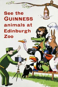 Zobacz zwierzęta Guinnessa w zoo w Edynburgu, ok. 1938 (litografia w kolorach) autorstwa English School