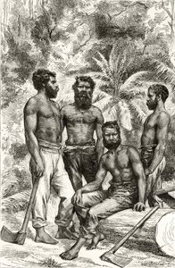 Na wpół cywilizowani aborygeni wiktoriańscy, z „Australian Pictures” Howarda Willoughby’ego, opublikowane przez religijne Towarzystwo Traktowe, Londyn, 1886 autorstwa English School