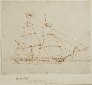 Ship Portrait - Brig Jack (pen & ink on paper (tracing)) autorstwa English School