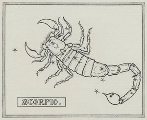 Znaki zodiaku: Skorpion (Grawerowanie) autorstwa English School