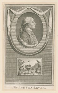 Sir Ashton Lever autorstwa English School