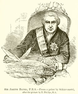 Sir Joseph Banks, PRS autorstwa English School