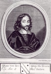 Sir Thomas Browne (1605-82), wyryty przez Fredericka Hendricka van Hove (ok. 1628-98) autorstwa English School