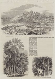 Szkice z Madagaskaru (grafika) autorstwa English School