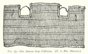 Slat Armor z Kalifornii (lito) autorstwa English School