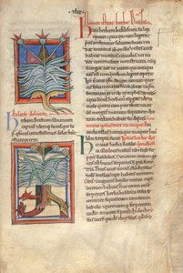 Sloane Ms 1975 fol.48 Bazylika ziołowa autorstwa English School