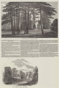 Towarzystwo Archeologiczne i Historii Naturalnej w Somersetshire (grawerowanie) autorstwa English School