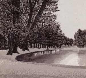 Sophia Gardens, Cardiff (lito) autorstwa English School