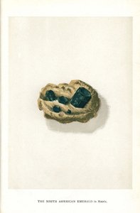 Południowoamerykański szmaragd w matrycy, z „Precious Stones and Gems” Edwina Streetera, Londyn, George Bell & Sons autorstwa English School