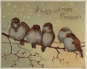 Wróble siedzące na gałęzi w śniegu (chromolitho) autorstwa English School