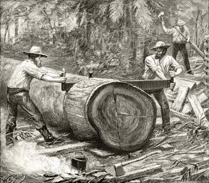 Splitters in the Bush, ok. 1880, z „Australian Pictures” Howarda Willoughby’ego, wydanej przez religijne Towarzystwo Traktu, Londyn, 1886 autorstwa English School