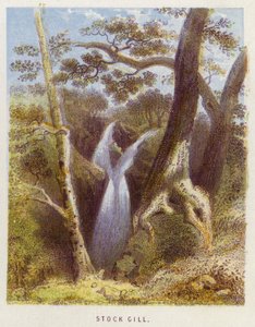 Stock Gill (kolor lito) autorstwa English School