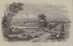 Strathfieldsaye autorstwa English School