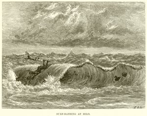 Surfowanie w Hilo autorstwa English School