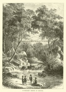 Most wiszący na Borneo autorstwa English School