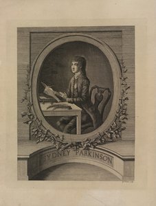 Sydney Parkinson, frontyspis z „Dziennika podróży na morza południowe, na statku Jego Królewskiej Mości, Endeavour (pod dowództwem kapitana Jamesa Cooka)” 1773 (rycina) autorstwa English School