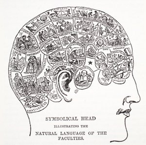 Symboliczna głowa przedstawiająca naturalny język wydziałów autorstwa English School