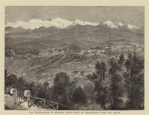 Uprawa herbaty w Indiach Brytyjskich, Widok Darjeeling od południa (rycina) autorstwa English School
