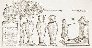 Terafin, kopia ilustracji z XVII wieku, wykorzystana w Historii magii, wydanej pod koniec XIX wieku autorstwa English School
