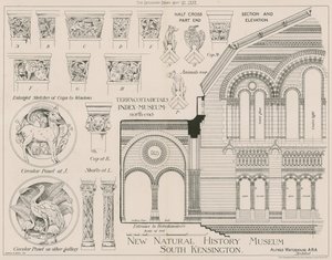 Detale z terakoty z nowego Muzeum Historii Naturalnej w South Kensington autorstwa English School