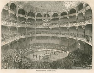 American Circus w pałacu Alhambra (Teatr Alhambra), Leicester Square, Londyn autorstwa English School