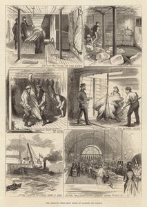Amerykański handel świeżym mięsem w Glasgow i Londynie autorstwa English School