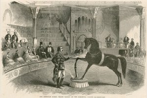 Amerykański koń Black Eagle w Pałacu Alhambra (Teatr Alhambra), Leicester Square, Londyn autorstwa English School