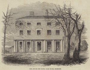 Azyl dla Idiotów, Park House, Highgate autorstwa English School