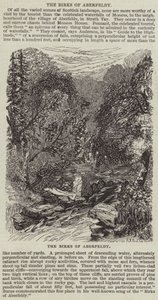 Birki z Aberfeldy (rycina) autorstwa English School