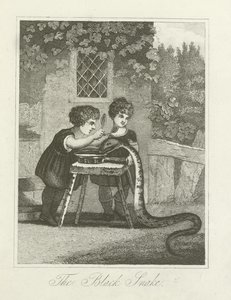 Czarny wąż autorstwa English School