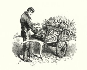 Costermonger (grawerowanie) autorstwa English School