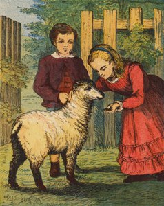 Baranek "Kukułka" (kolorowa litografia) autorstwa English School