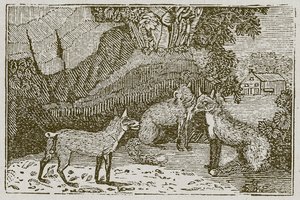 Lis bez ogona (rycina) autorstwa English School