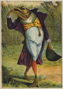 Żaba w pełnym stroju (kolorowa litografia) autorstwa English School