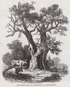Dąb Ewangelii, Stonleigh, Warwickshire (grafika) autorstwa English School