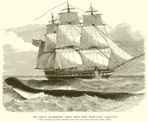 Wielki wąż morski, gdy po raz pierwszy widziany przez H.M.S. Dedal autorstwa English School