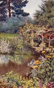 Ogród ziołowy: Zioła nad wodą (kolorowa litografia) autorstwa English School