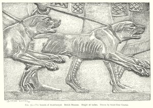 Psy Assurbanipala. British Museum (rycina) autorstwa English School