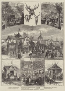 Międzynarodowa Wystawa Leśnictwa w Edynburgu (grafika) autorstwa English School