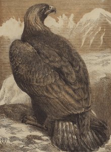 Król Gór (kolorowy grawerunek) autorstwa English School